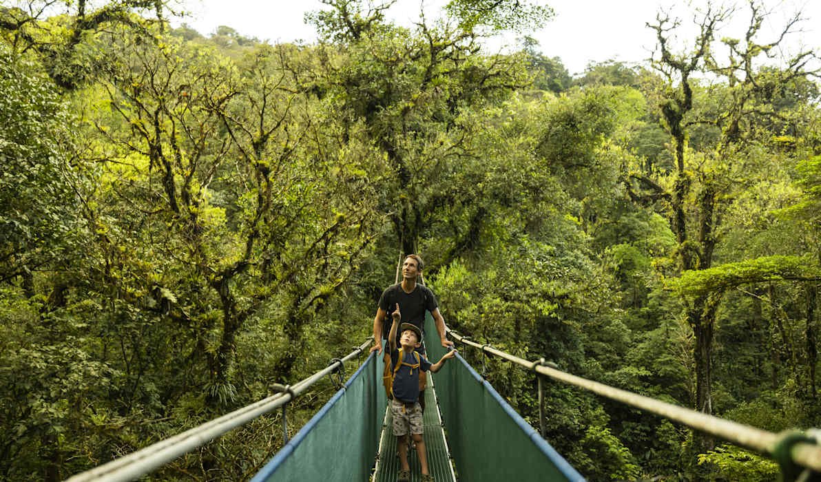 A father and son on a hanging bridge, Costa Rica