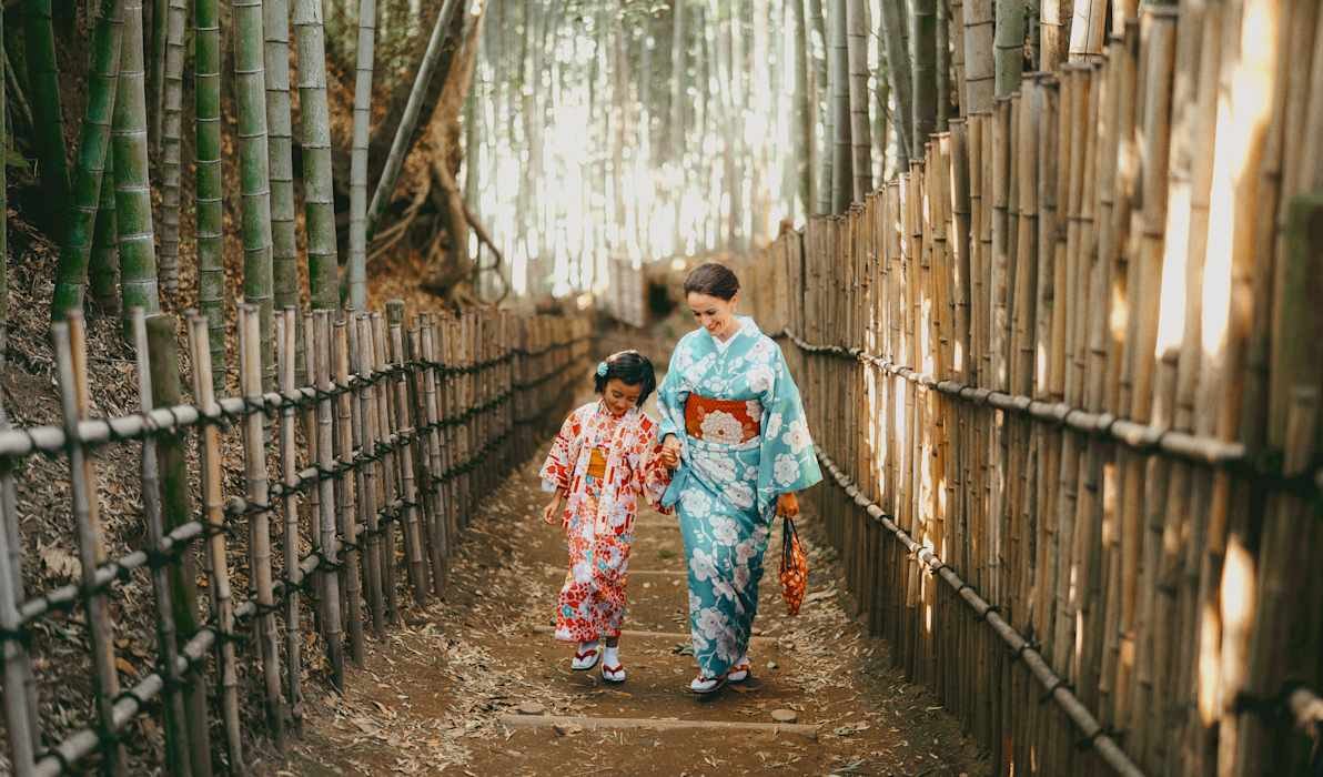 Bamboo forest in Japan